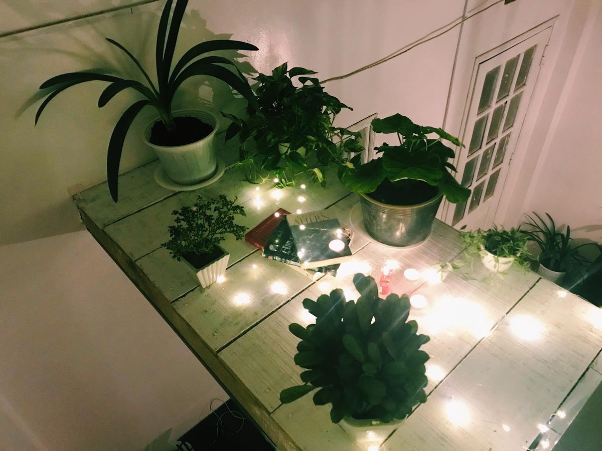 The Balcony Bnb Да Лат Екстериор снимка